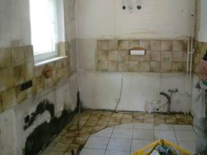 ... und von da aus hat sich der Schimmel verbreitet...